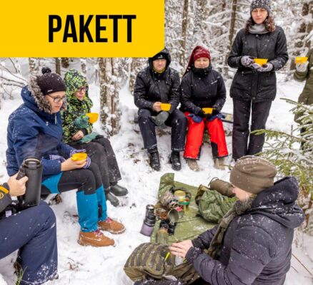 Pakett_esilehele_särtsu_ja_sädet